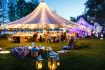 How a Professional Party Planner Can Elevate Your Celebration Experience